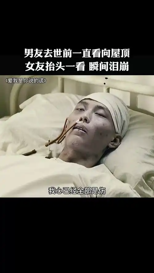 我和春天有个约会
