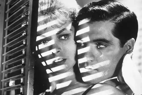 杀母为何成为了20世纪美国大众文化中的经典意象丨新书