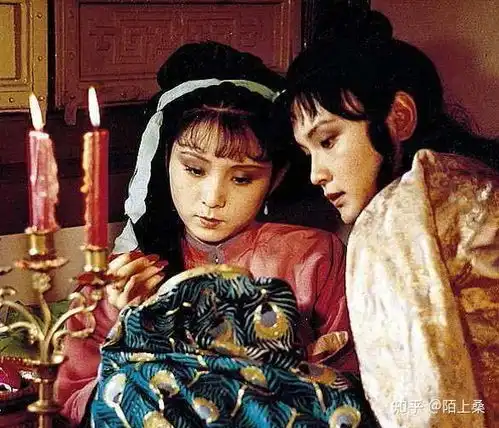 纳兰容若,那本书里面讲的是不是你