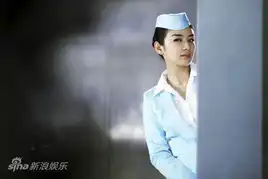 小s刘嘉玲张柏芝刘忻2011年惨败的女星1
