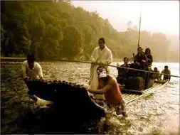 功夫之王海报和剧照欣赏6
