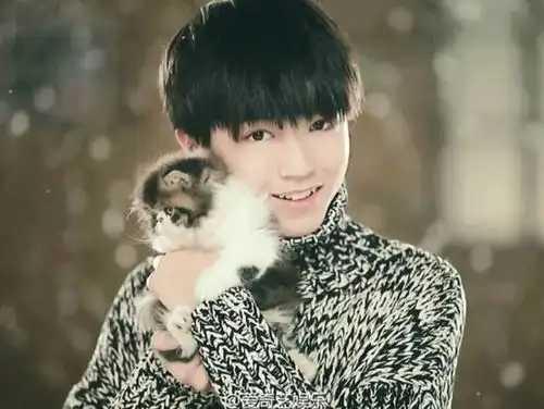 王俊凯将出演电视剧天坑鹰猎男一号
