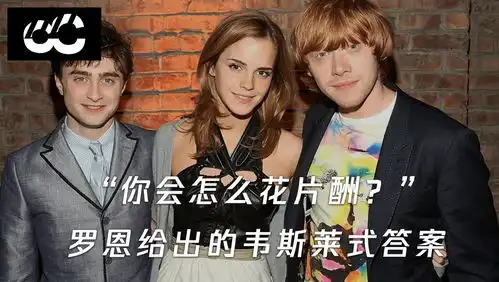 被问会怎么花片酬,罗恩给出的答案实在够韦斯莱哈利波特片场外的故事
