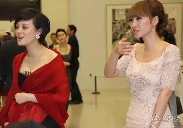 柳岩补送孙俪新婚红包
