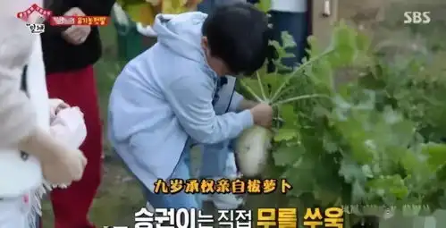 50岁大长今近照曝光,复出拍杂志替富商老公捞金
