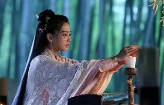 孤芳不自赏白娉婷结局和谁在一起她为什么骗楚北捷

