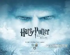 2011青岛家居精品影片展
