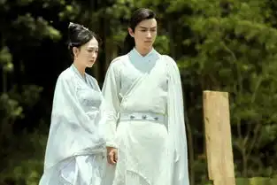 独孤皇后宇文护是最势单力薄的反派看到这画面,原谅我想笑了