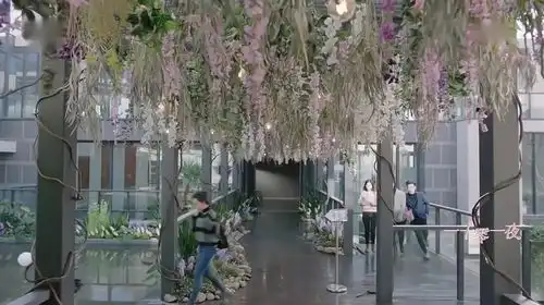 迪丽热巴新剧全是美花,看偶像剧还能解锁花卉绿植搭配技巧
