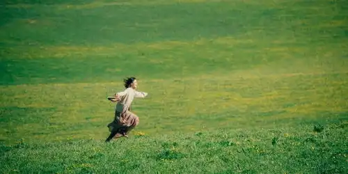 我的阿勒泰定档北京卫视每一帧画面都充满治愈