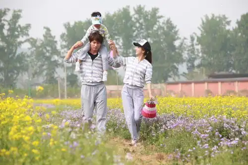 王心凌们迎第二春考古那些年我们追的台剧男女主角丨图数馆