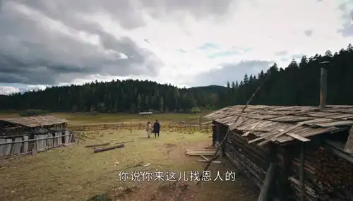 山河令司藤大火背后的逻辑流量没用,创新良心是关键