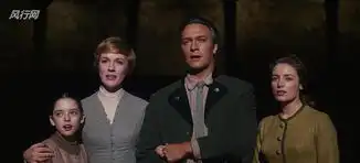 音乐之声1965美国爱国主义经典歌舞片
