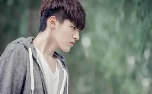 夏有乔木雅望天堂夏木怎么死的
