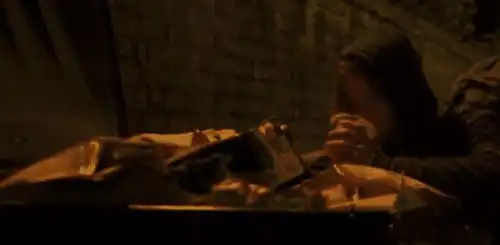 流浪猫鲍勃偶遇流浪猫,却带来意外收获,屌丝成功逆袭