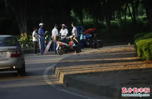 实地探访立交桥下的十年蜗居