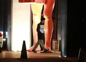 中国评论新闻中评时态网
