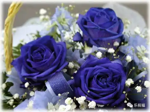 520最美的祝福送给你快打开看看
