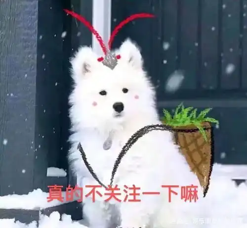 继王一博后,赵丽颖再次合作当红小鲜肉,看到男主颜值后爱了
