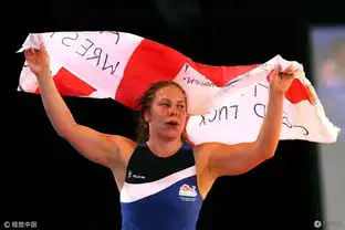 字幕也许有南北差异,但精神没有国界之分摔跤吧爸爸影评