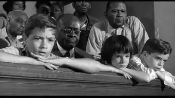 读书看完杀死一只知更鸟,我突然升起一种使命感想让你看见
