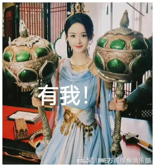 赵丽颖改微博简介好热闹杉杉没了,许半夏第一,知否名太长了