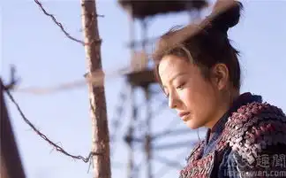 花木兰剧照参军