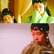 网友创意新版红楼梦番茄白菜扮黛玉妙玉