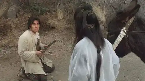 红楼梦改编,左右为难
