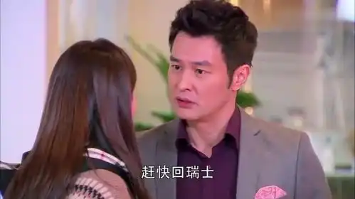 遇见王沥川沥川留在上海不肯回瑞士霁川无奈找小秋帮忙