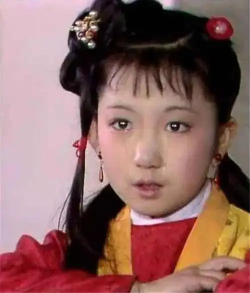 红楼梦揭秘王仁卖掉巧姐的秘密