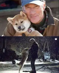 爱每一个今天吧,耀眼一些,你有资格