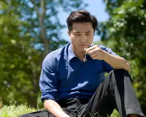 王少伟黄金稻浪剧照