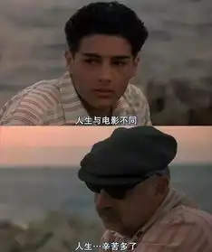 非211985大学奇谈录微思客