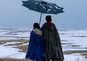 王鹤棣中餐厅后,迎来一部新剧播出光是女演员阵容都等不及
