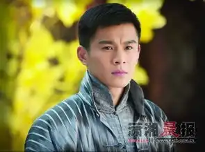 现在进入藏心周播时间