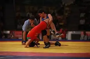 摔跤吧爸爸过誉,但值得过誉
