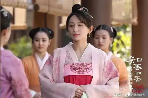 庆余年2番外1知否林小娘穿越到庆余年成王大娘子