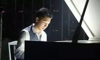 网络工程师石进治愈系钢琴家
