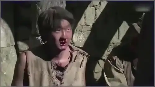 我的团长我的团王大治这一喊,全部人都趴下了
