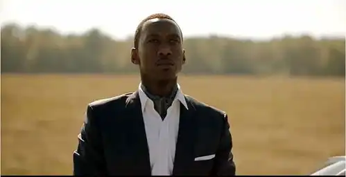 绿皮书明日内地上映,不套路的美式主旋律凭啥值得一个奥斯卡小金人