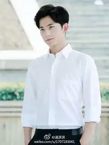 不霸道总裁赵丽颖,总裁界的清流平价女王