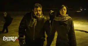 电影白日焰火入围柏林角逐金熊高清组图