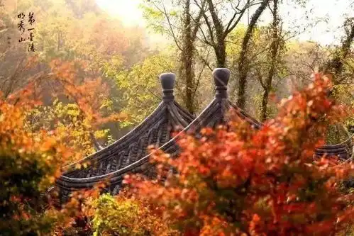 如皋人收好这个旅行计划表,每个月都能去江苏最美的地方

