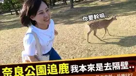 奈良公园植物园