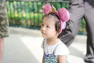 愿你永远都是童话里的小公主香港迪斯尼游记