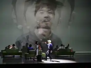 非常林奕华小飞侠彼得潘之机场无真爱