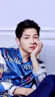 宋仲基高清无水印iphone锁屏壁纸太阳堆糖,美好生活研究所
