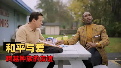 绿皮书跨越种族的友谊种族歧视下的黑人出行指南
