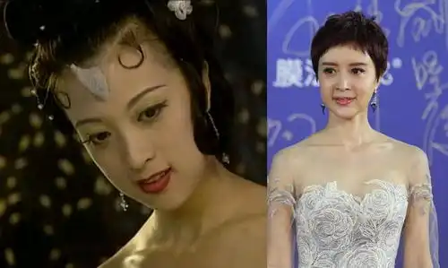 20年后春光灿烂猪八戒要翻拍了,八位演员今昔对比照令人唏嘘
